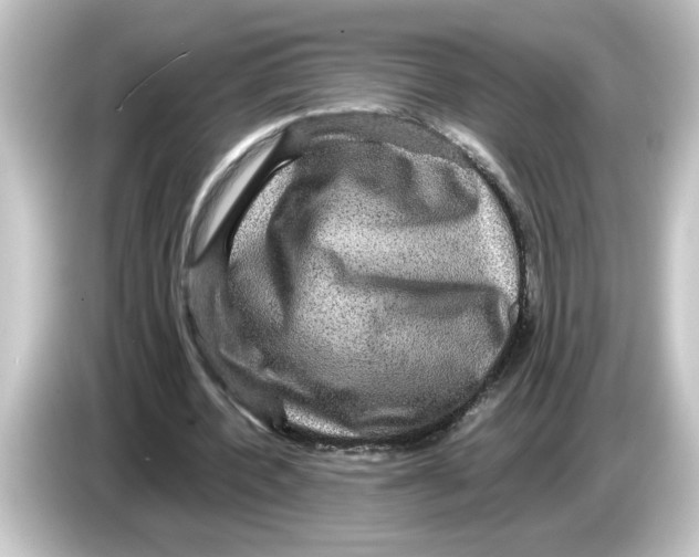 X0000084570532200703161724