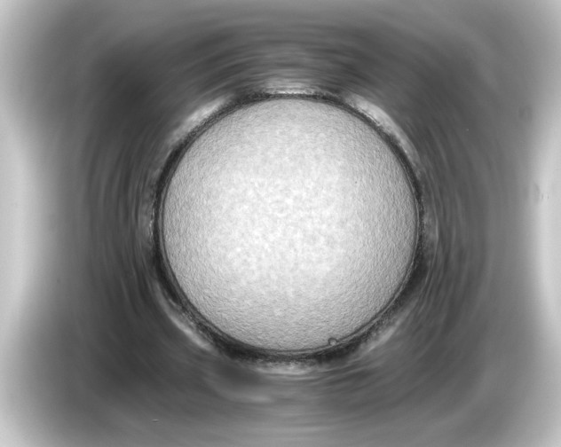 X0000084570533200703161724