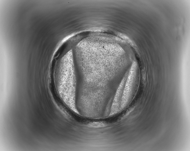 X0000084570536200703161724