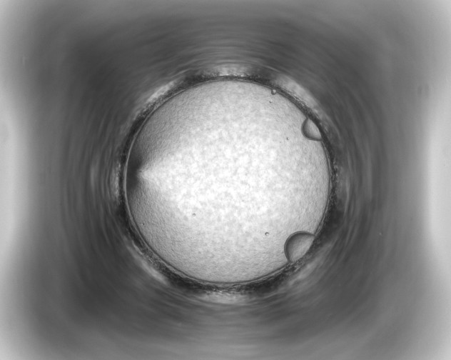 X0000084570537200703161724