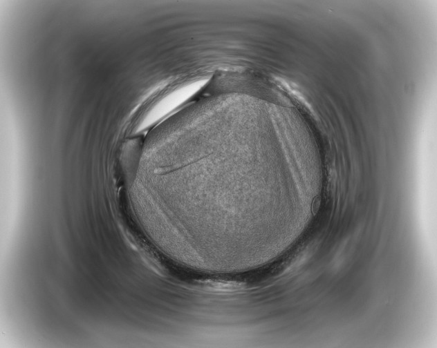 X0000084570539200703161724
