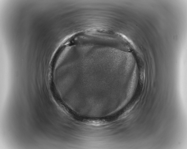 X0000084570540200703161724