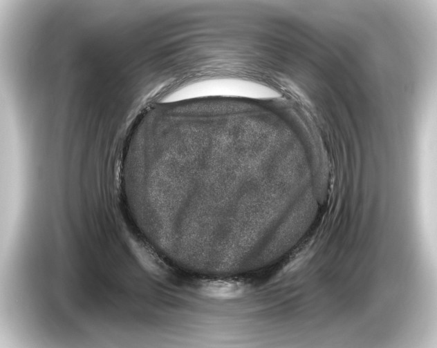 X0000084570542200703161724