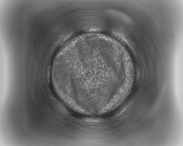 X0000084570545200703161724