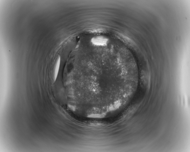X0000084570547200703161724