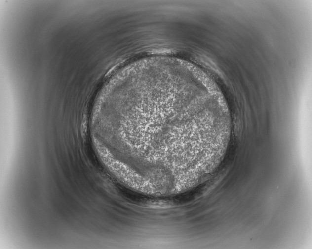 X0000084570549200703161724
