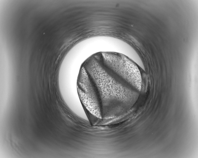 X0000084570552200703161724