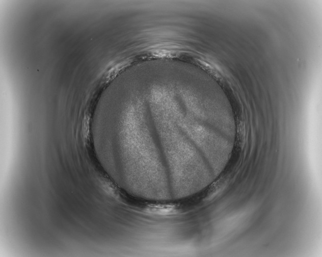 X0000084570554200703161724