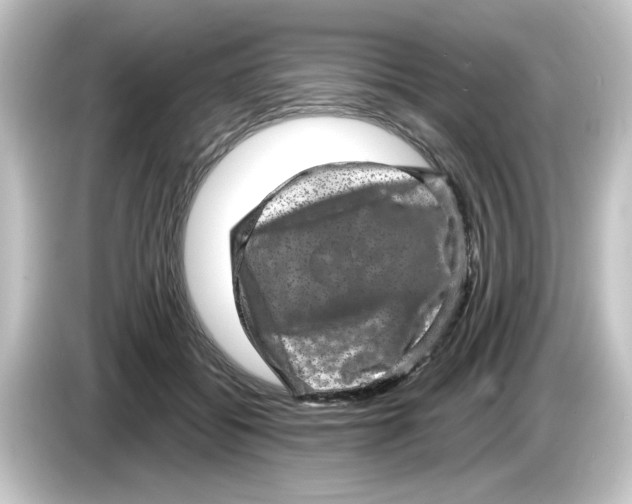 X0000084570556200703161724