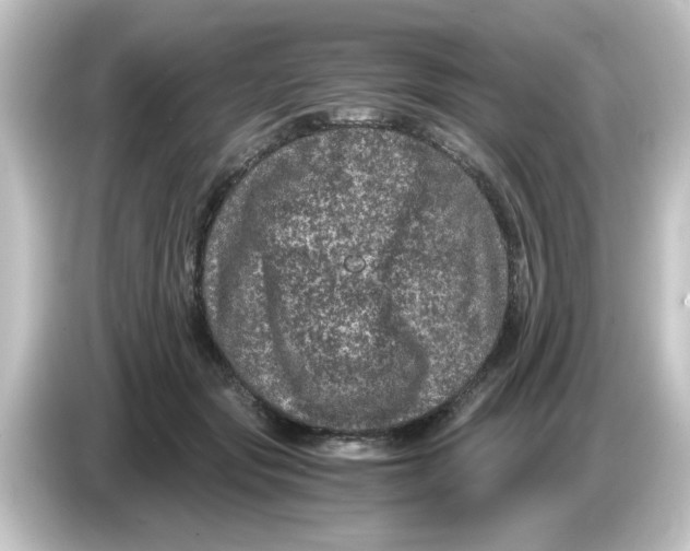 X0000084570557200703161724