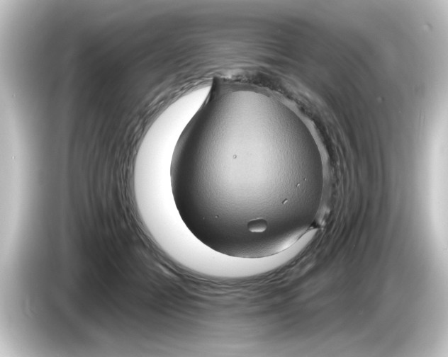 X0000084570558200703161724