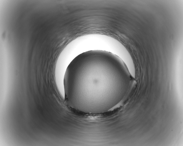 X0000084570560200703161725