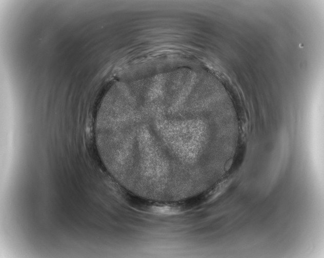 X0000084570561200703161725