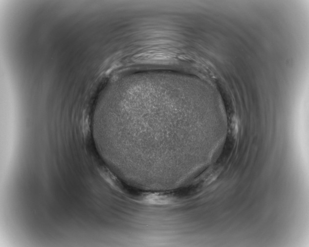 X0000084570568200703161725