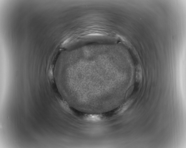 X0000084570573200703161725