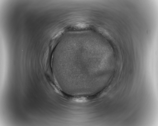 X0000084570576200703161725