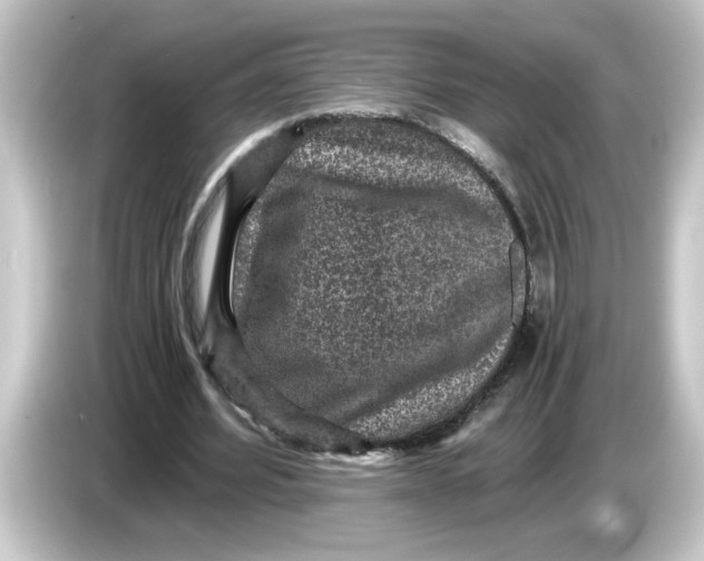 X0000084570580200703161724