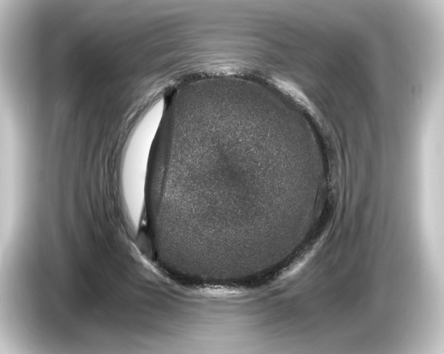 X0000084570585200703161724