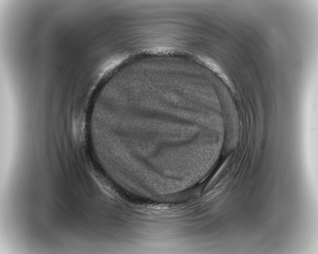 X0000084570588200703161724