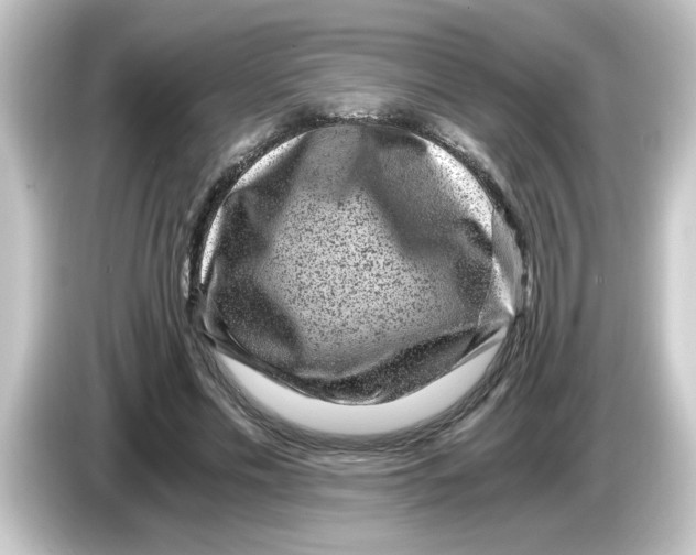 X0000084570589200703161724