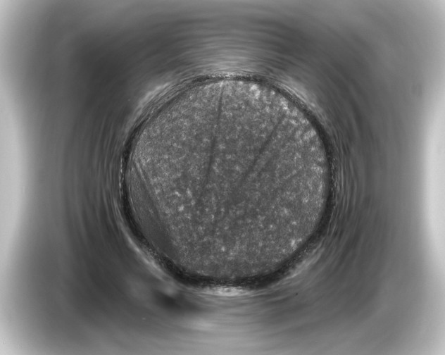 X0000084570590200703161724