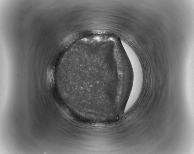 X0000084570598200703161724
