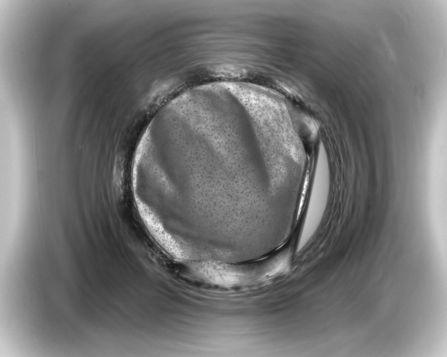 X0000084570600200703161724