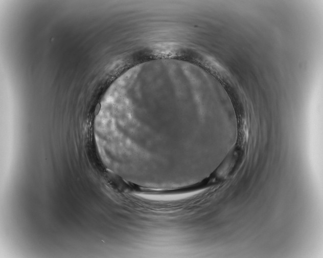 X0000084570601200703161724