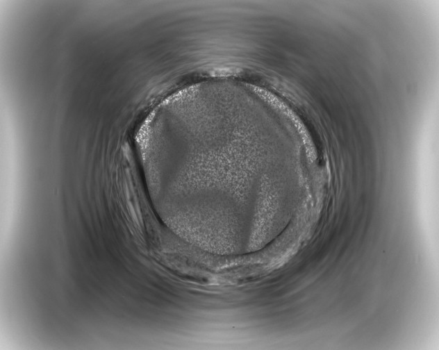 X0000084570604200703161724