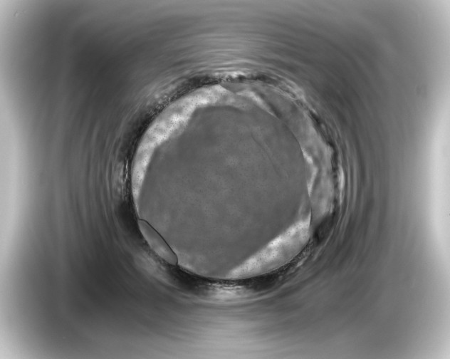 X0000084570605200703161724