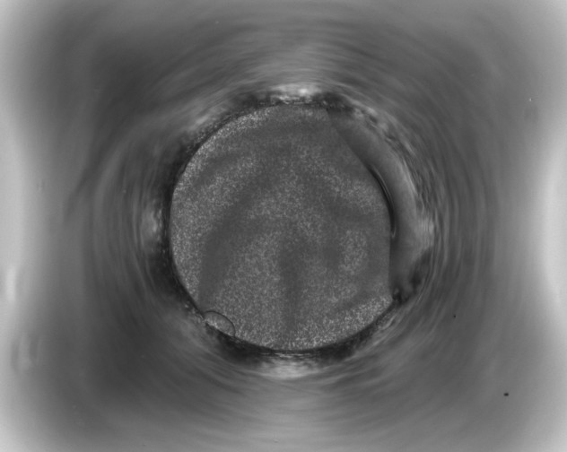 X0000084570608200703161724