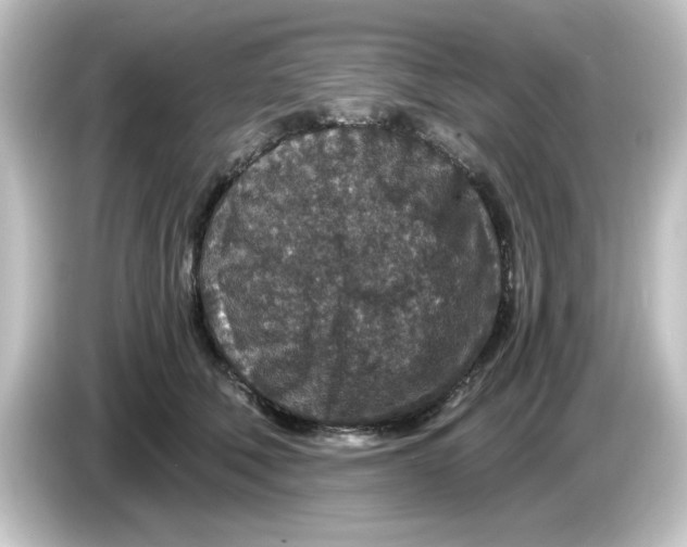X0000084570610200703161724
