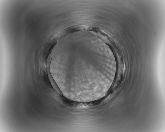 X0000084570613200703161724