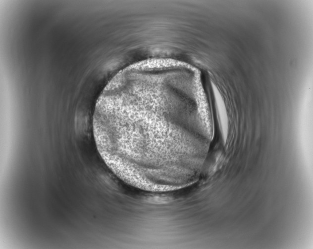X0000084570619200703161724