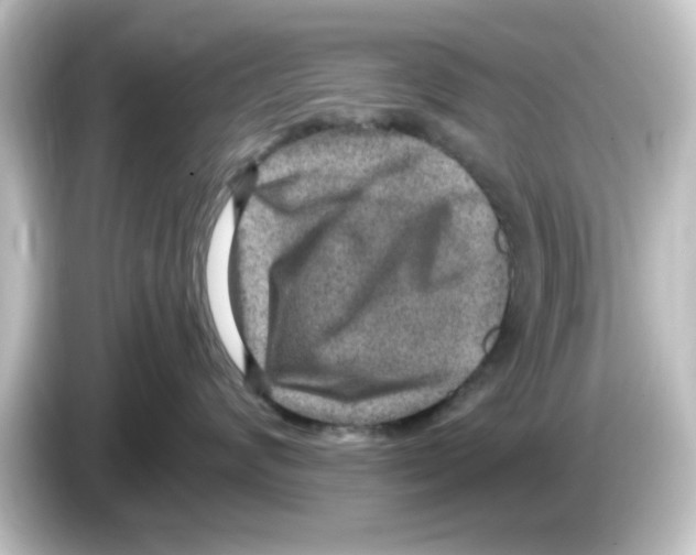X0000084570624200703161724