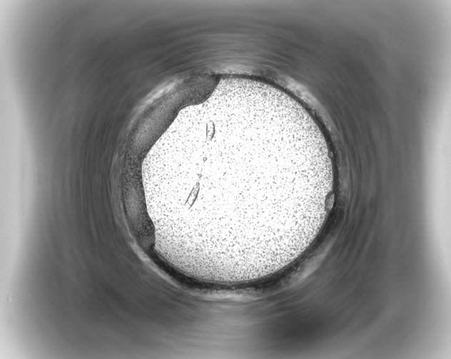 X0000084570625200703161723