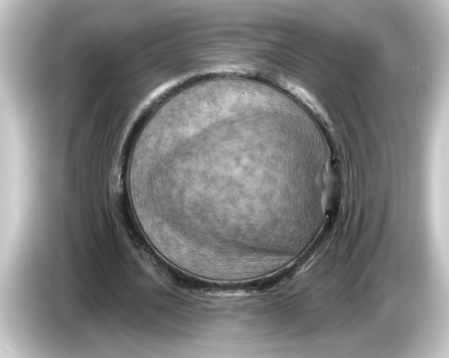 X0000084570628200703161723