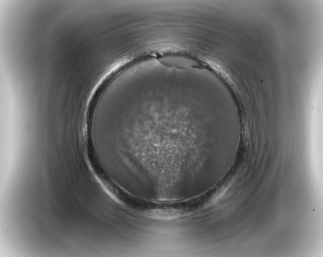 X0000084570630200703161723