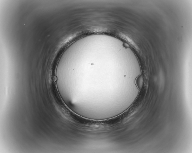 X0000084570631200703161723