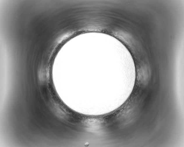 X0000084570632200703161723