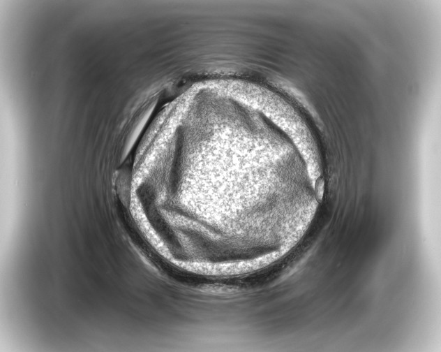 X0000084570633200703161723