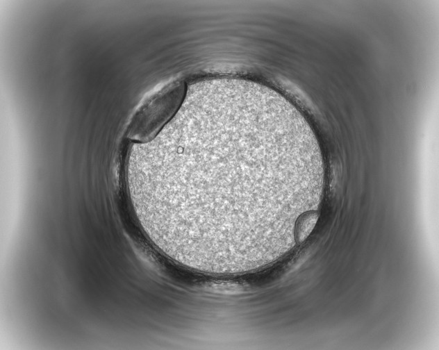 X0000084570636200703161723