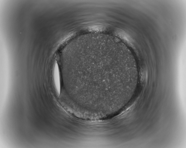 X0000084570637200703161723