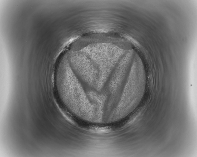 X0000084570638200703161723