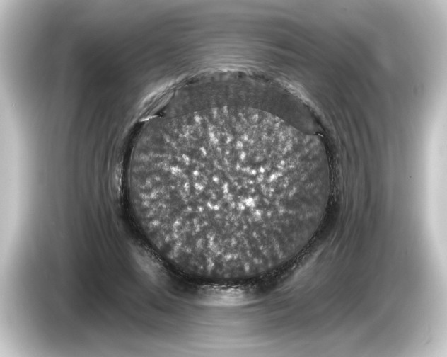 X0000084570640200703161723
