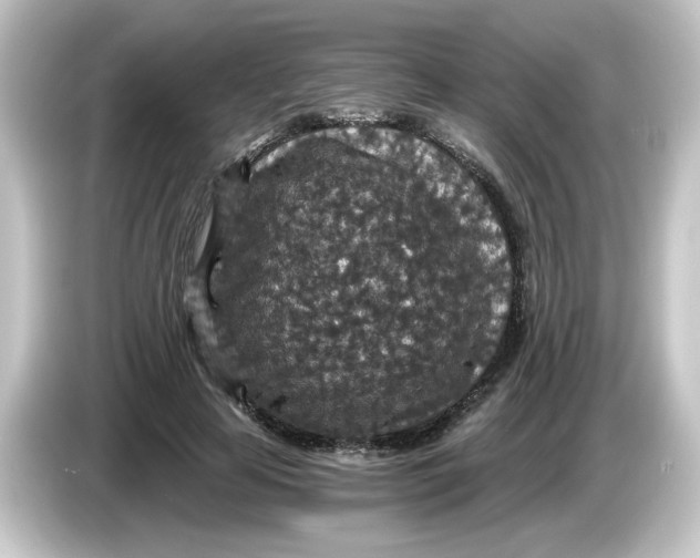 X0000084570641200703161723