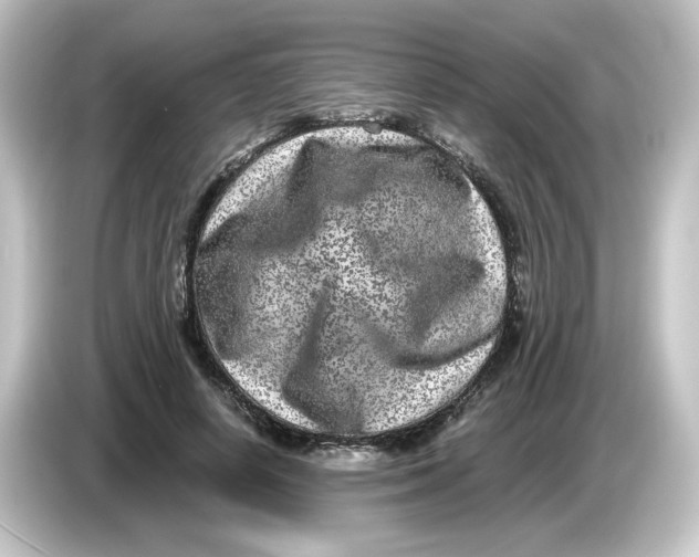 X0000084570642200703161723
