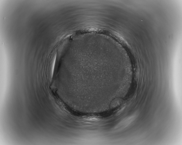X0000084570643200703161723