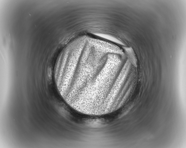 X0000084570646200703161723