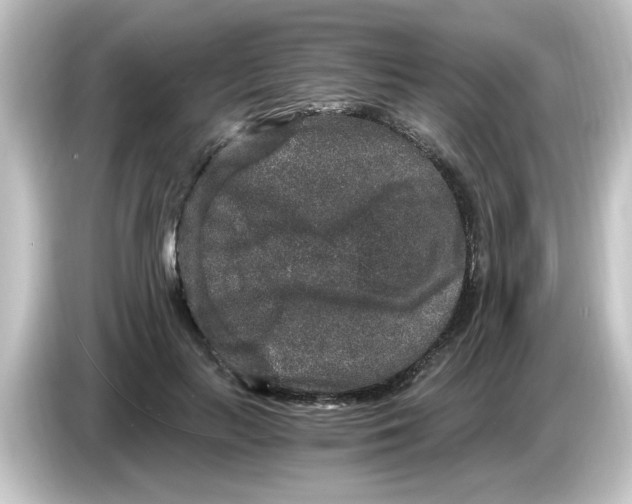 X0000084570647200703161723
